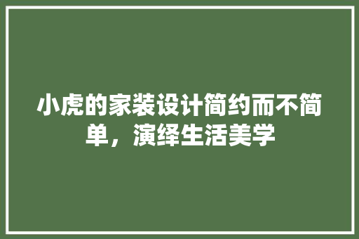 小虎的家装设计简约而不简单，演绎生活美学