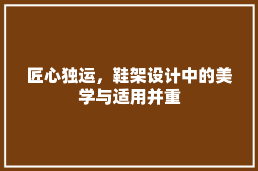 匠心独运，鞋架设计中的美学与适用并重