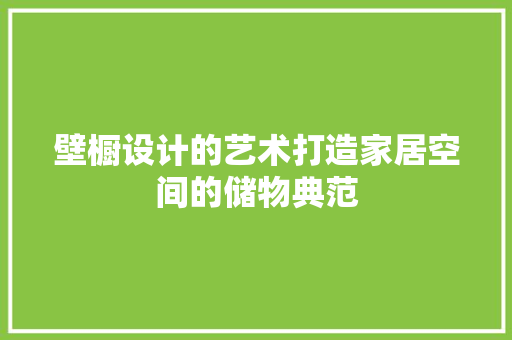 壁橱设计的艺术打造家居空间的储物典范