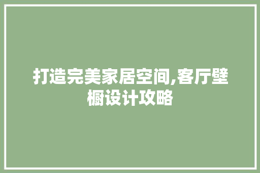 打造完美家居空间,客厅壁橱设计攻略