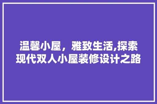 温馨小屋，雅致生活,探索现代双人小屋装修设计之路