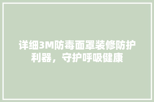 详细3M防毒面罩装修防护利器，守护呼吸健康