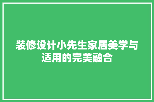 装修设计小先生家居美学与适用的完美融合
