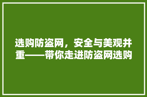 选购防盗网，安全与美观并重——带你走进防盗网选购指南