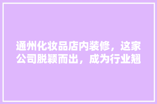 通州化妆品店内装修，这家公司脱颖而出，成为行业翘楚！